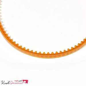 KishJanome-Belt-Type1-02.jpg
